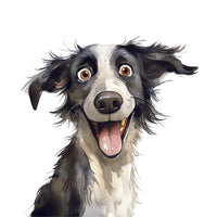 Border Collie: Crno-bijeli pas s razigranim izrazom lica, stilizirana i živopisna ilustracija.