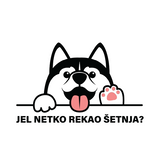 Husky za šetnju